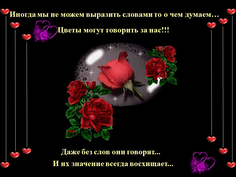 Иногда мы не можем выразить словами то о чем думаем… Цветы могут говорить за